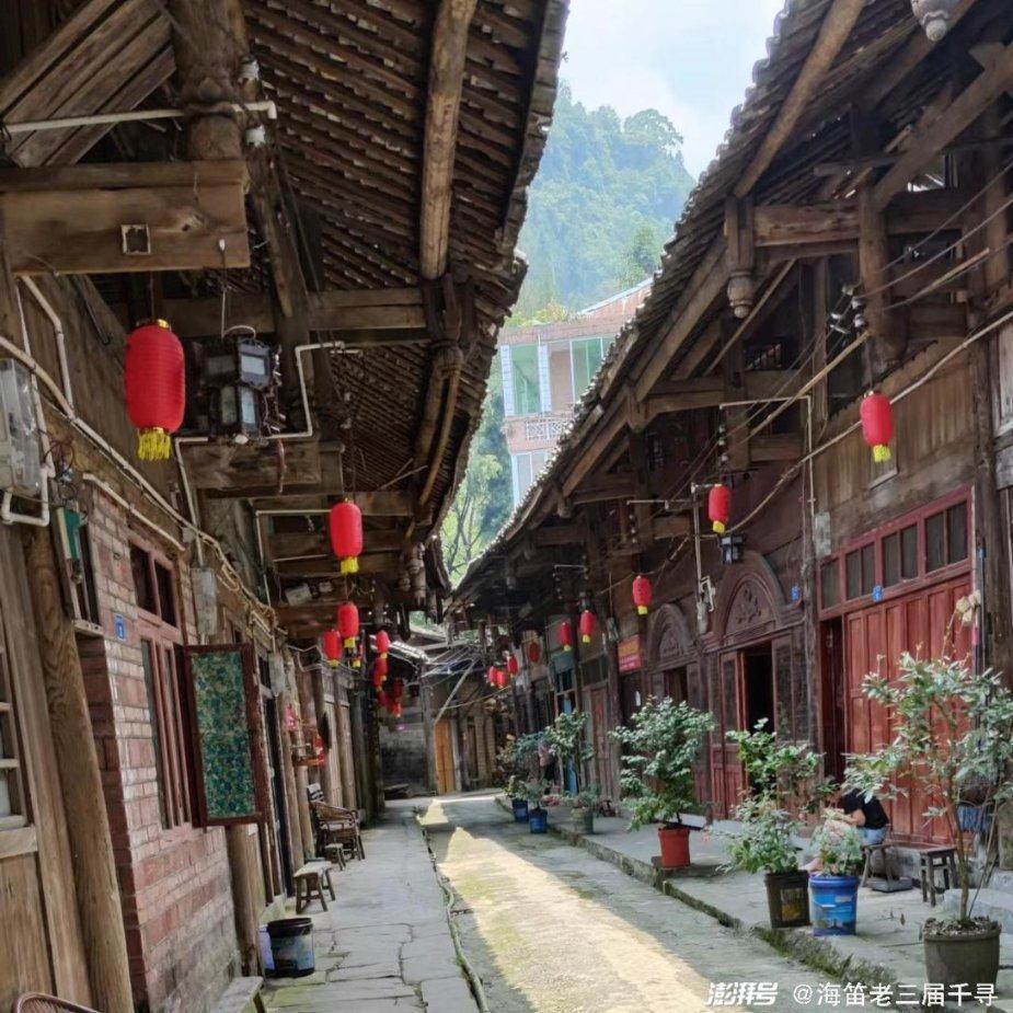 逃离诡异之林